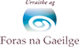Foras na Gaeilge